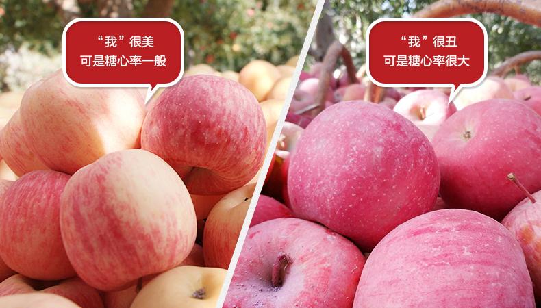 中式炒菜 水果配餐 厂名:曲果旗舰店 厂址:环山公路s107省道北侧 厂家